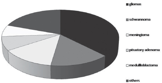 Pie chart - incidence of central nervous system tumors in our series