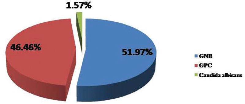 Pie chart showing distribution of isolates