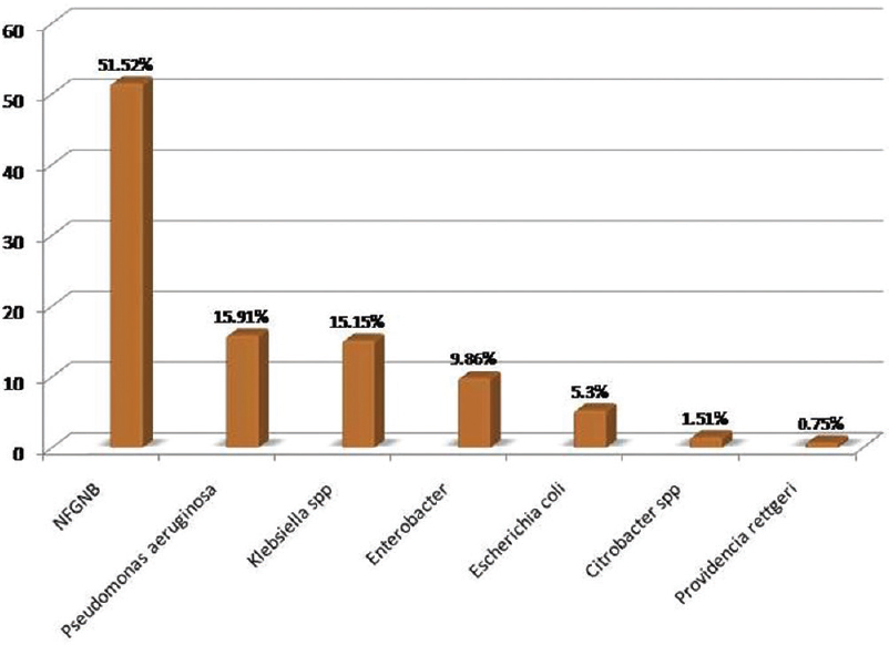 Bar diagram showing distribution of Gram-negative bacilli