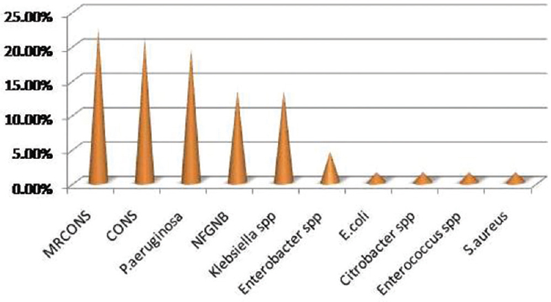 Bar diagram showing distribution of biofilm producing organisms