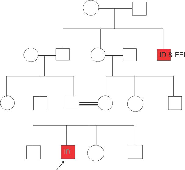 History of intellectual disability and epilepsy