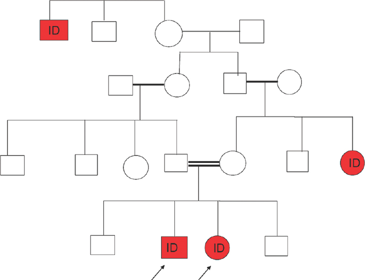 History of intellectual disability in third and fourth generations