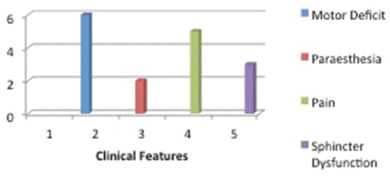 Distribution of the clinical features (n=17)