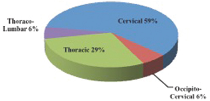 Tumor location by histology (n=17)