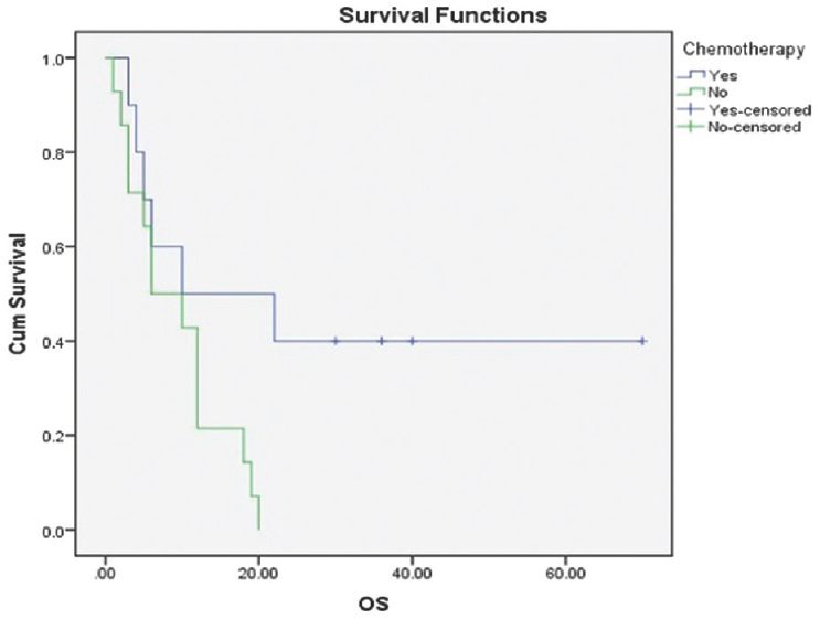 Kaplan–Meier estimates of overall survival concomitant versus no chemotherapy P = 0.033 (log-rank test)