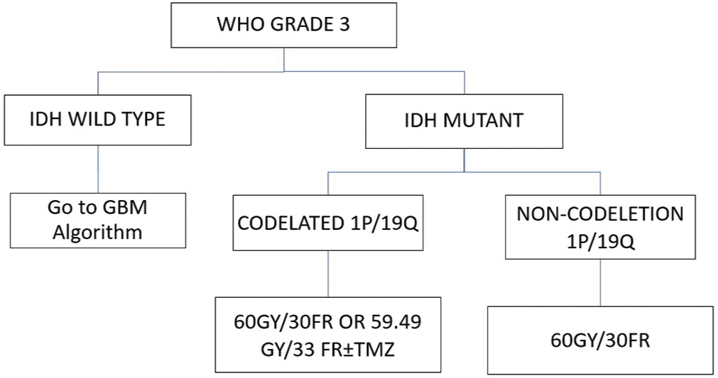 Glioma World Health Organization Grade 3 management during COVID-19 pandemic.