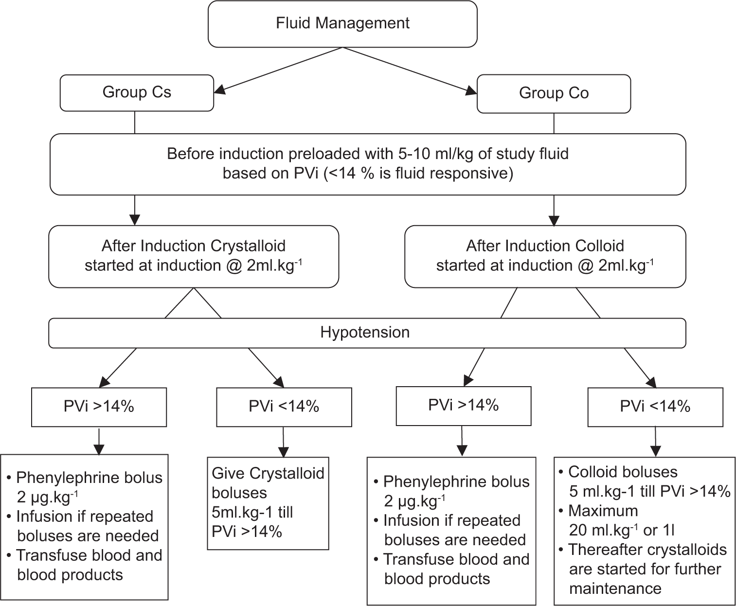 Protocol for fluid management in groups crystalloid (Cs) and colloid (Co). PVi: Pleth variability index.