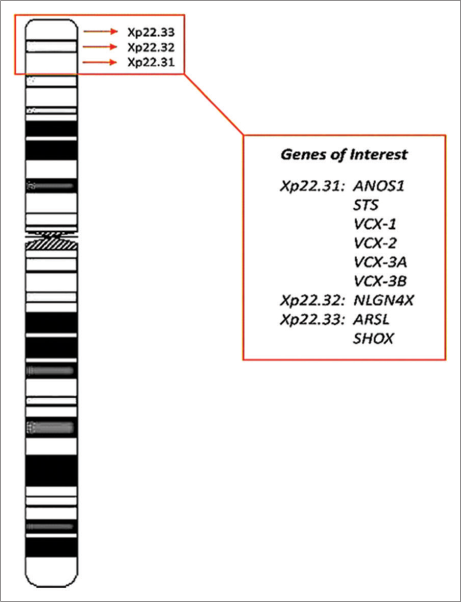 Chromosome Xp22.3 region with associated significant Genes. G-banding Ideogram of X chromosome (800 bphs resolution) showing Xp22.3 region with the Genes of Interest.