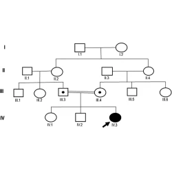 Article figure